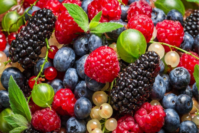 Health Nutrition Mixed Berries