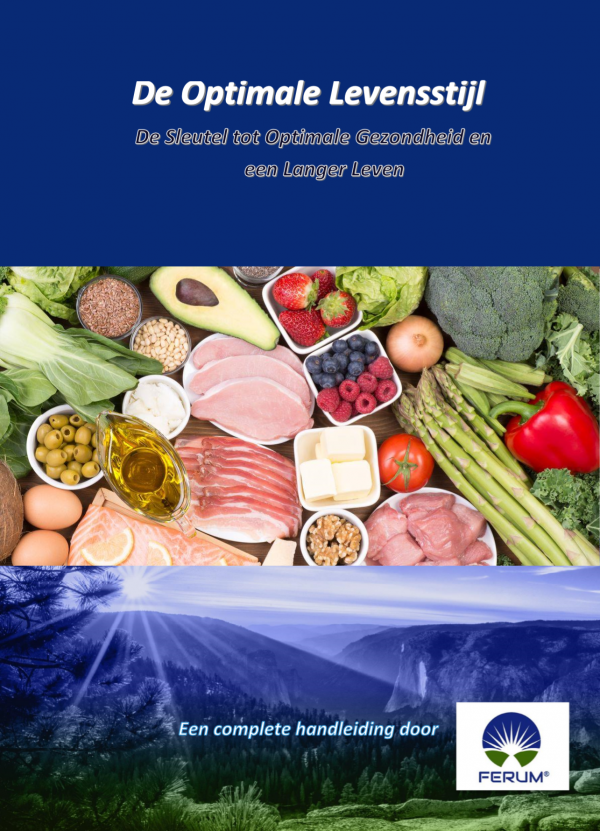 De Optimale Levensstijl PDF